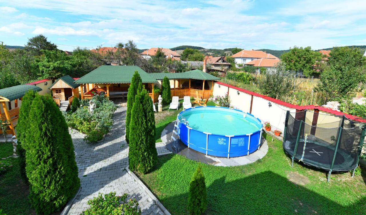 Pensiunea Mama Lia Haţeg Exterior foto
